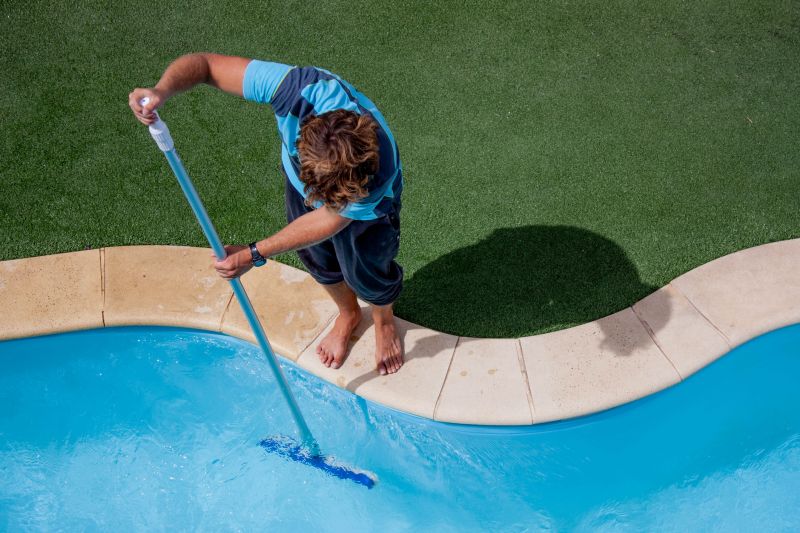 Swimming Pool Cleaning detail